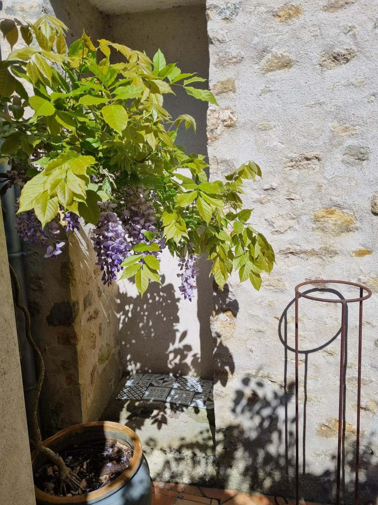 Charmante Maison Ancienne Avec Cour Alençon Exterior foto